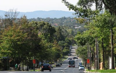 Buyer’s Agent Box Hill South – Suburb Profile