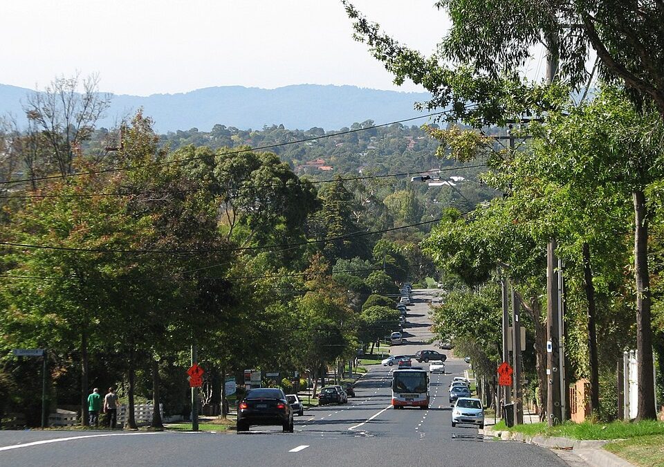 Buyer’s Agent Box Hill South – Suburb Profile