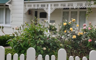 Buyer’s Agent Kew – Suburb Profile