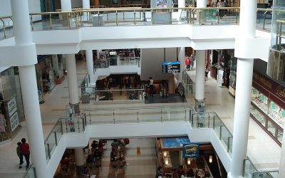 Buyer’s Agent Forest Hill – Suburb Profile