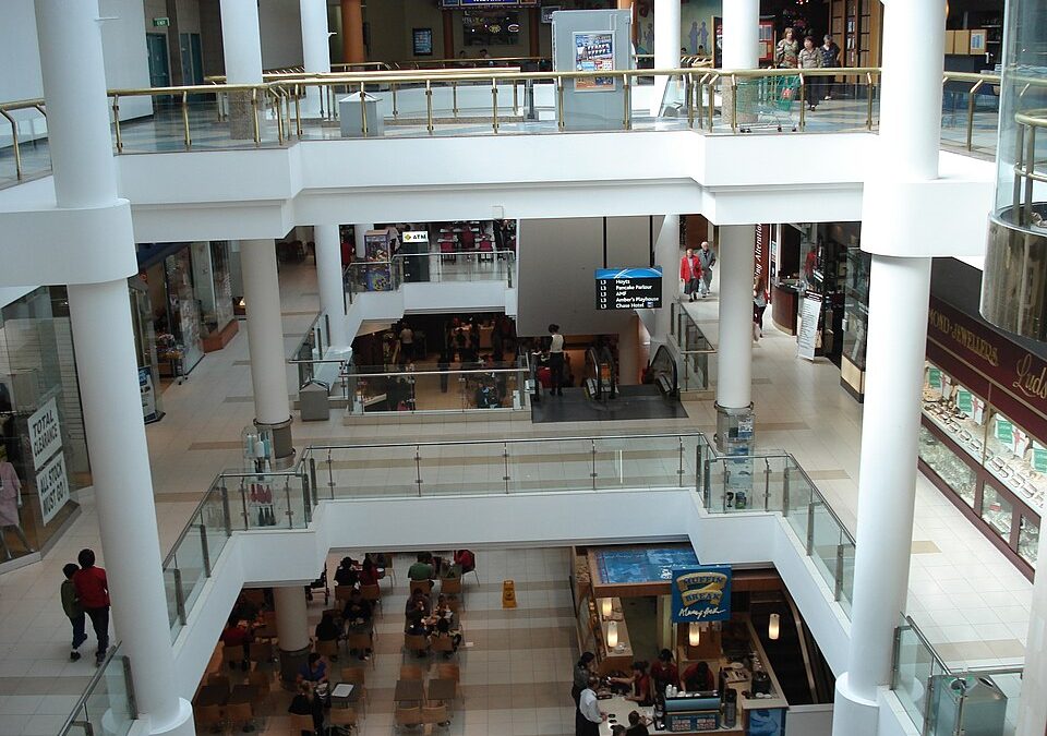 Buyer’s Agent Forest Hill – Suburb Profile