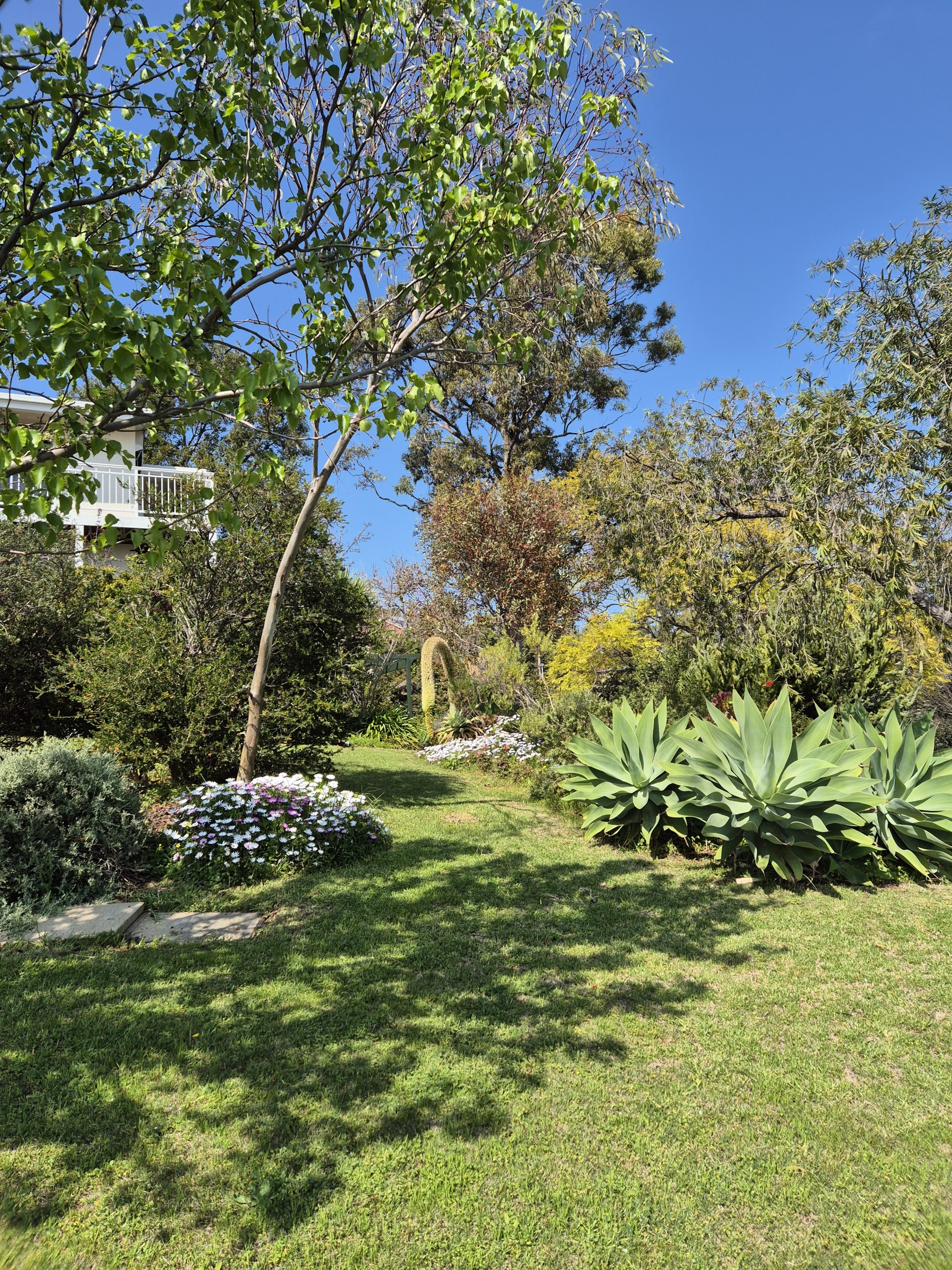Buyer’s Agent Ringwood – Suburb Profile