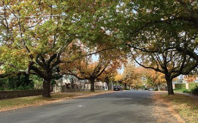 Buyer’s Agent Balwyn – Suburb Profile