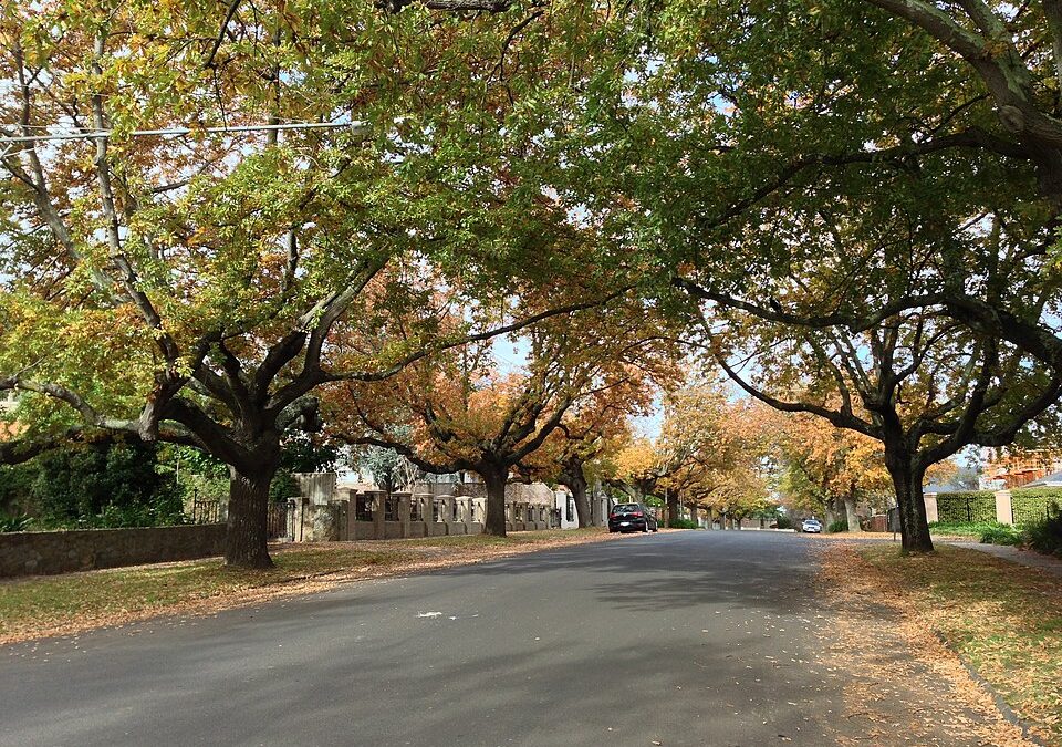 Buyer’s Agent Balwyn – Suburb Profile