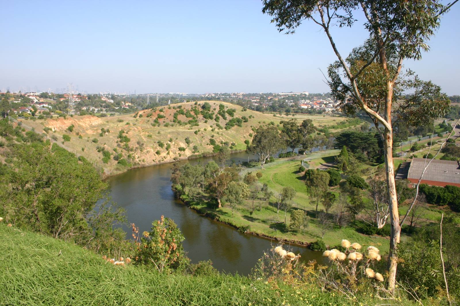 Buyer’s Agent Essendon West – Suburb Profile