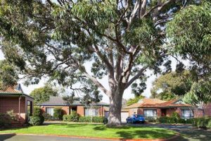 park avenue forest hill wendy chamberlain buyers advocate melbourne